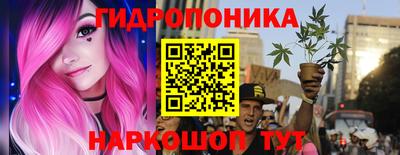 спиды Краснодар